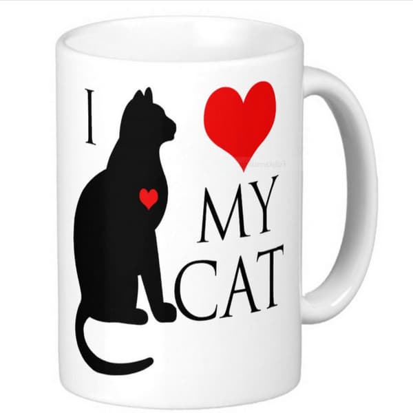 Muki - I love my cat