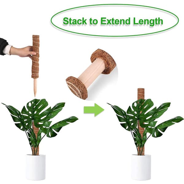 2 pcs Moss Pole for Cheese Plant Stackable Moss Stick with 20 Zip Ties for Extending Monstera Pothos Vines