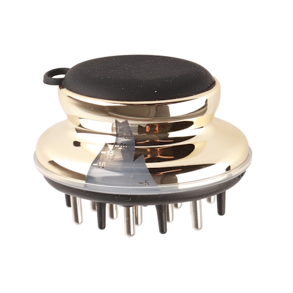 Scalp Applikator Kam Perspektiv Skala Fönster Design Ergonomisk eterisk oljebeständig hårbotten Massager BrushGold