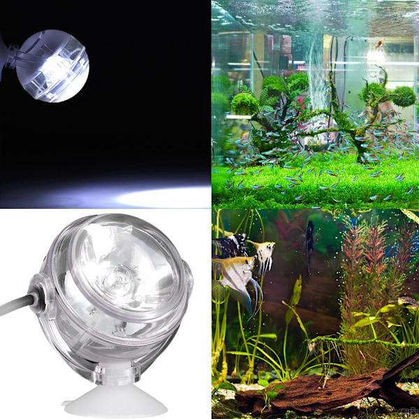 EU-kontakt AC110-240V LED Undervannslys Flerfarget Vanntett Spotlight Lampe Hvit