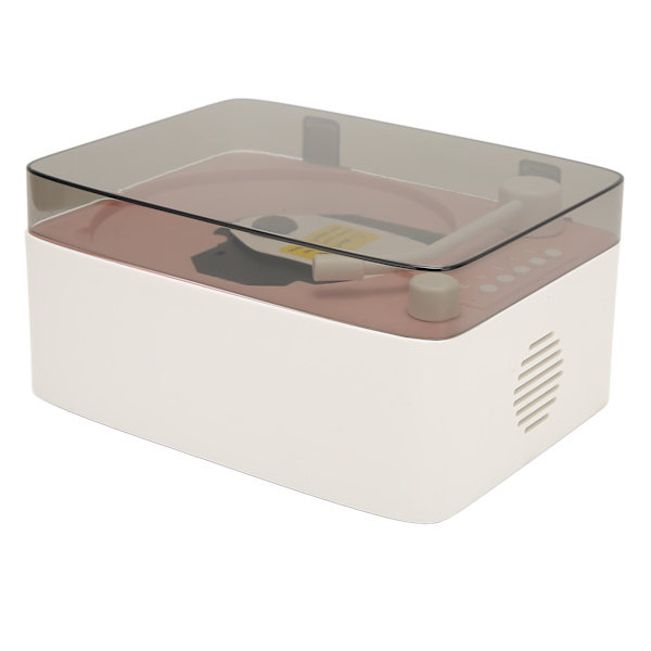 CD-soitin Mini Monitoiminen Vintage Bluetooth-kaiutin CD-musiikkisoitin Kotiin Vaaleanpunainen