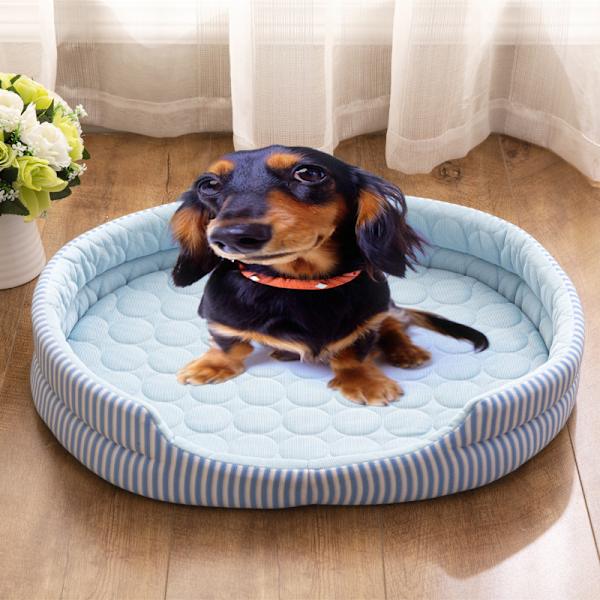 Køleseng Pet Nest Fire Sæsoner Universal Sommer Sove Cool Ice Silkeseng til Indendørs Katteunger og Hvalpe Blå
