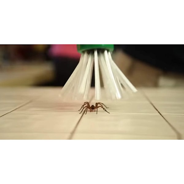 Langt håndtag Insektsfælde Håndholdt Spider Catcher Husholdningsinsektsfanger