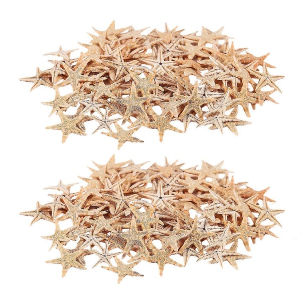 Small Starfish Star Sea Shell Beach Craft 0,4 tum-1,2 tum 180 st