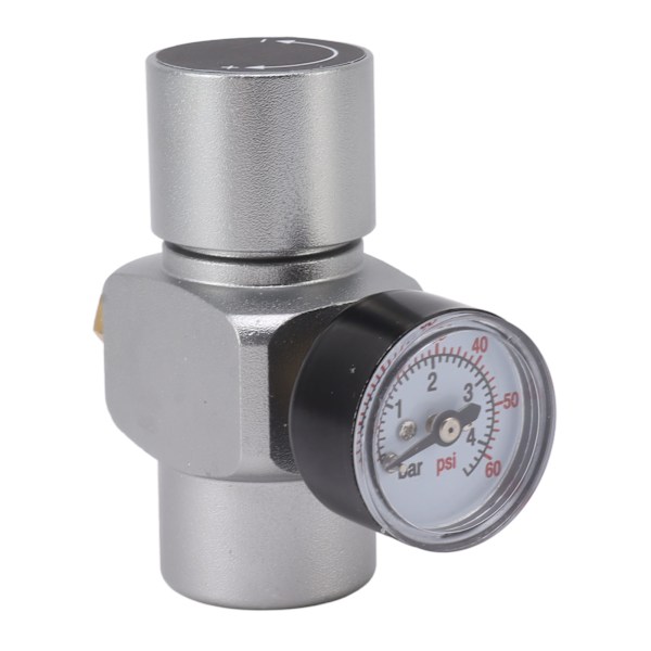Vattentrycksreduceringsventil 0‑60PSI tryckregulator i rostfritt stål Multifunktionell slangtrycksregulator för hemmabryggning