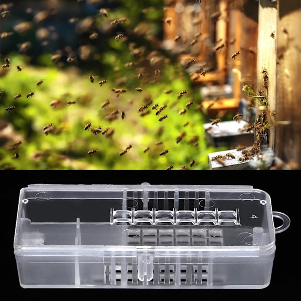 10 stk Biavl Opdræt Kopper i Plast Bee Queen Cages Biavl Udstyr Værktøjer