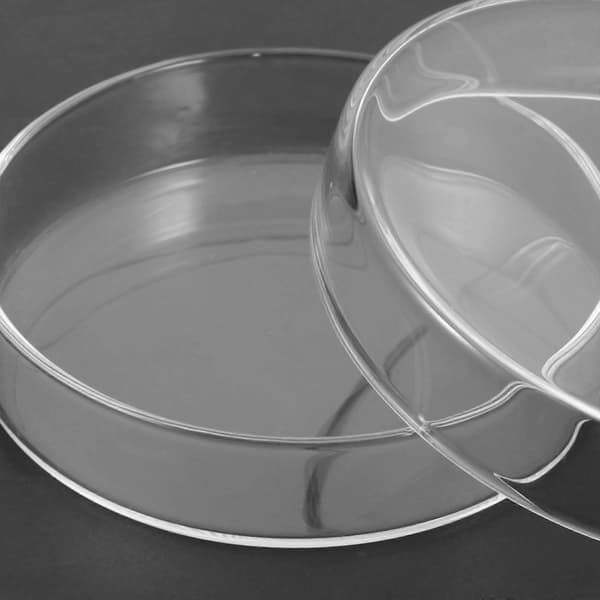 Transparent petriskål i glas för laboratoriebruk, 4 st