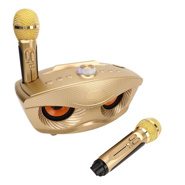 Bärbar Bluetooth-högtalare karaokemaskin med 2 trådlösa mikrofoner Home Style KTV SD306 mikrofon