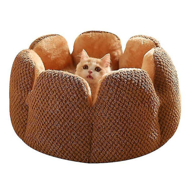 Mysig brun husdjurskaktus plysch kattbädd