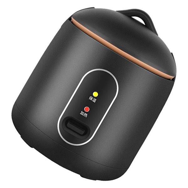 Mini riskoke multifunksjon 200W effekt helautomatisk bærbar riskoke for hjem og reiser 1,2L CN 220V