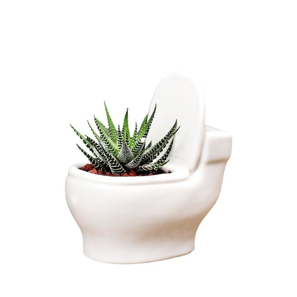 Keramisk Plant Pot Toalett Form for Bonsai Flower Succulent