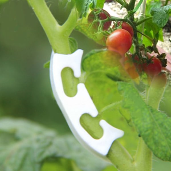 100 ST Tomatplantor Vinplantor klämma Förstärkta klämmor Fruktplantering Antiböjningsklämmor