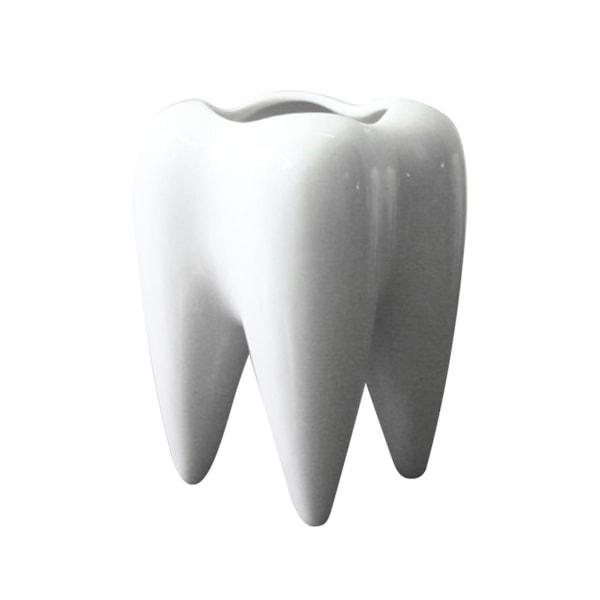 Hampaan muotoinen mehevä kukkaruukku lasitettu pieni istutusruukku, keraaminen valkoinen