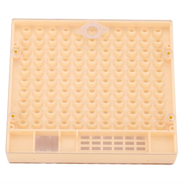 Bee Queen Rearing Cell Cupkit Box Etui For Cuplarve System Birøktverktøy