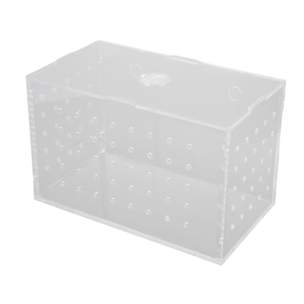 Fiskeyngelkasse Høj gennemsigtig akryl klækningsinkubator tank med sugekopper til babyfisk Rejer Clownfisk 14x8x9cm / 5,5x3,1x3,5in