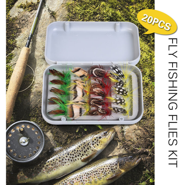 20/100 st Flugfiskeflugor Kit Matchande flugfiskedragkrokar med flugask, modell: 20 st