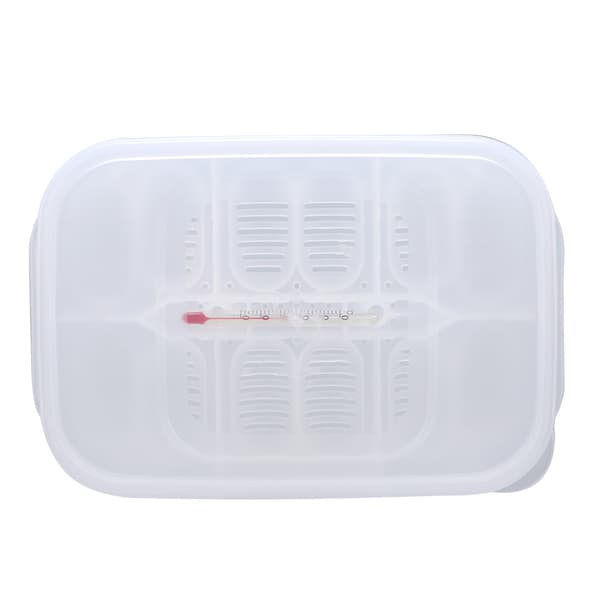 Transparent Plast Professionell Reptil Inkubatorbricka