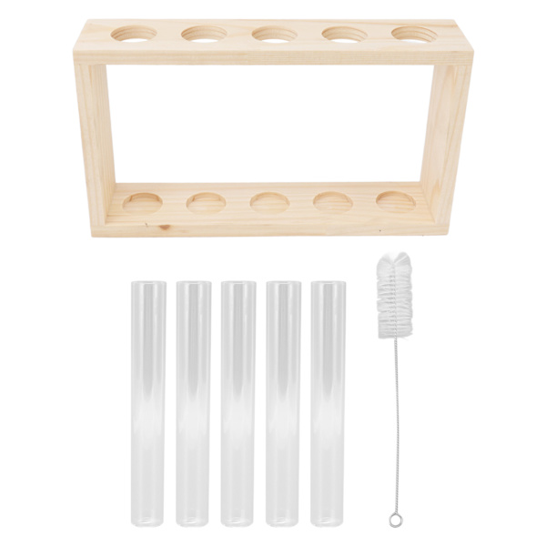 5 Reagensrørsplanter Terrarium Transparent Observer Tilvekststatus Vannplanteholder med treben for urteplante