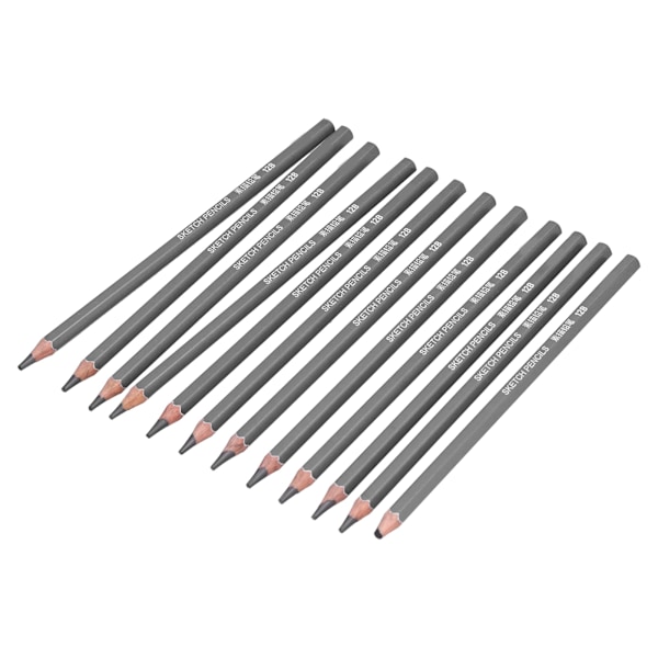 24 st Ritstift Professionell Praktisk Miljöskydd Skisspennor Set för Artister Nybörjare
