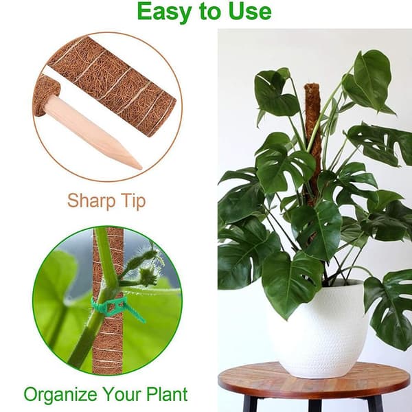 2 pcs Moss Pole for Cheese Plant Stackable Moss Stick with 20 Zip Ties for Extending Monstera Pothos Vines
