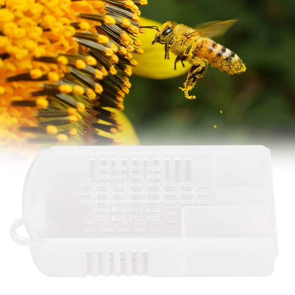 5 stk Transparent Plast Queen Bee Cage Tilbehør til Biavlværktøjer