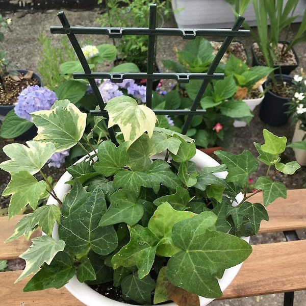 Krukspaljé, Spaljé för inomhusväxter, Mini Plant Spaljé Gör-det-själv-trädgård