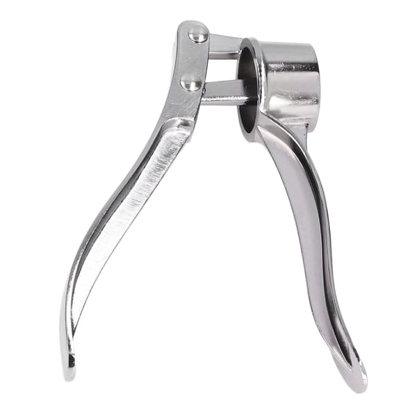 Garlic Press Crusher Handheld Ginger Mincer Tool Zinc Alloy Ergonomic Handle Rustproof for Home Kitchen