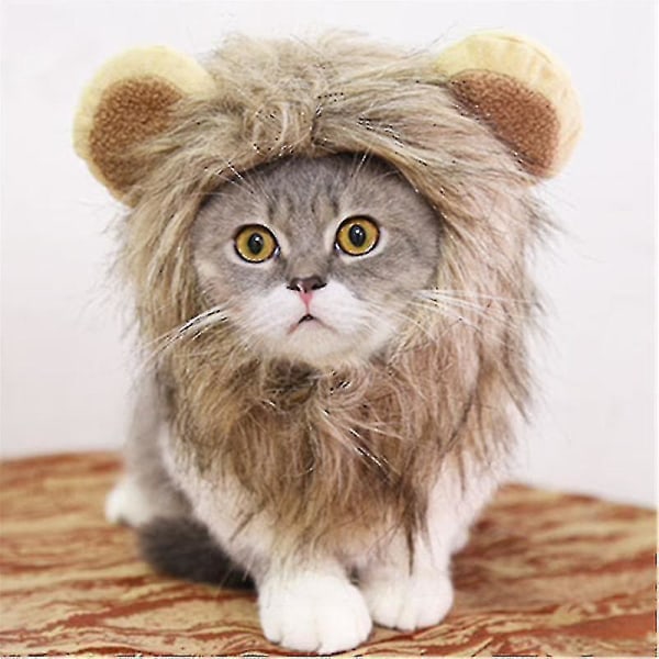 Bedårande Lion's Mane-dräkt, perfekt för fotograferingar på roliga festdagar