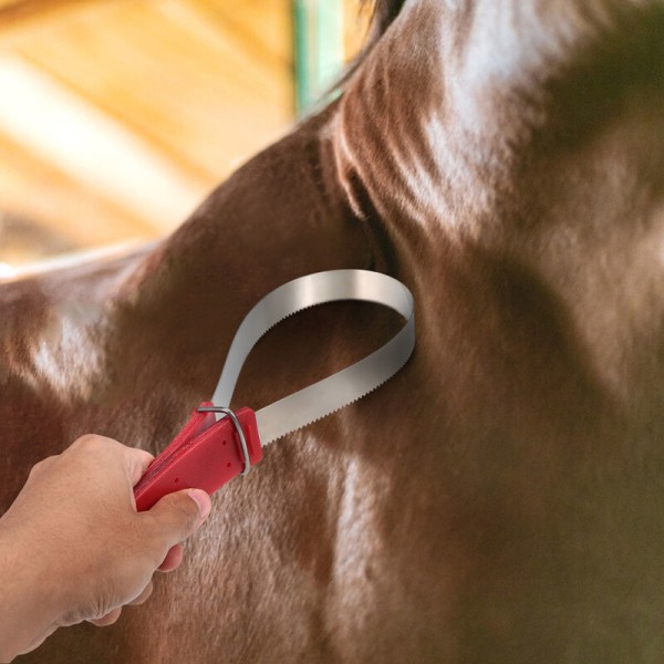 Svettskrapa för häst i rostfritt stål, hästskötselverktyg, rengöringsslinga, bekvämt handtag, modell: röd