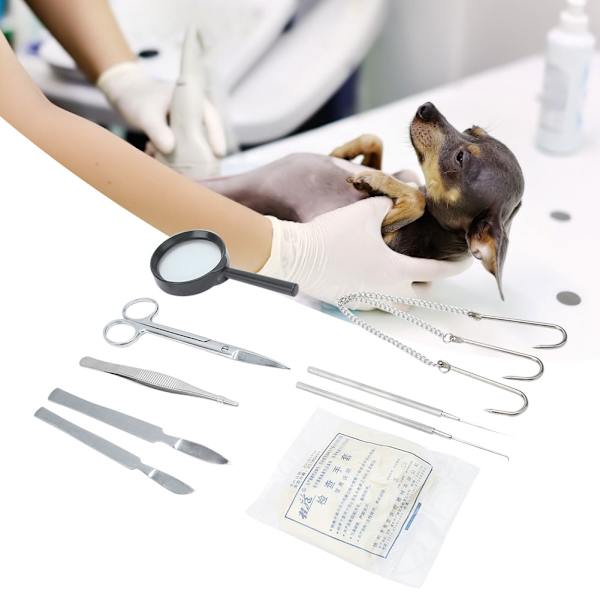 Dissektions-dissektionssats i rostfritt stål för Biology Student Lab Veterinary Anatomy Tools
