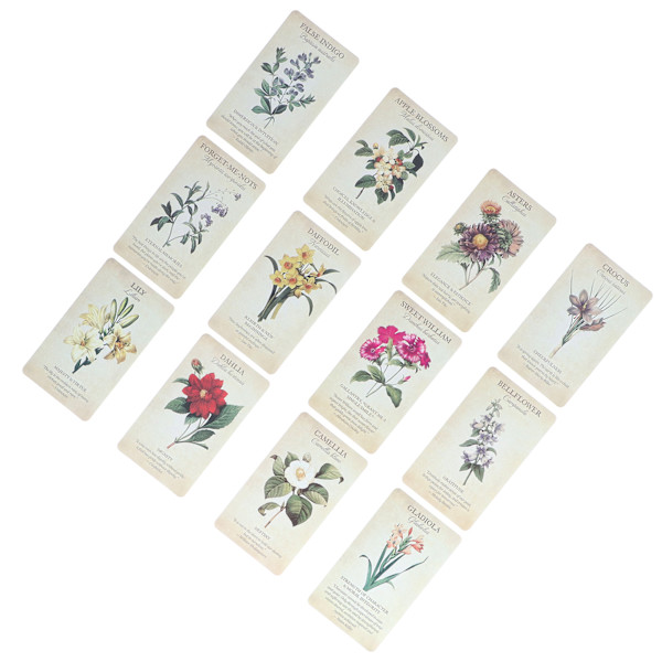 Nybörjare Oracle Cards Set Spådomssägande vägledning spådom Oracle Deck Party Game Present