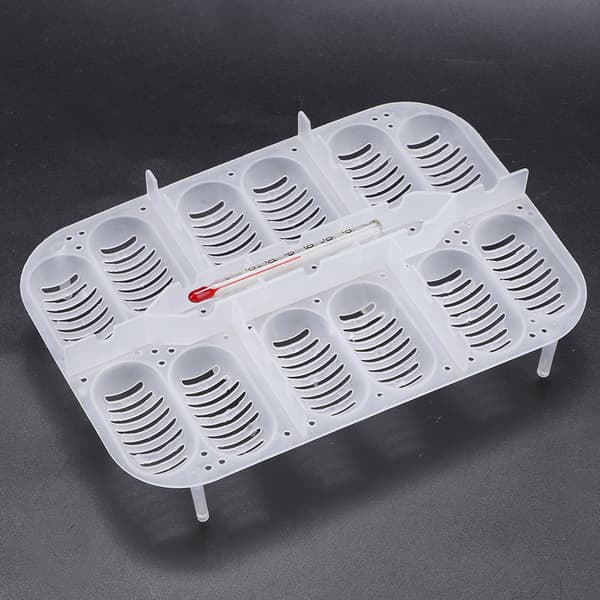 Transparent Plast Professionell Reptil Inkubatorbricka
