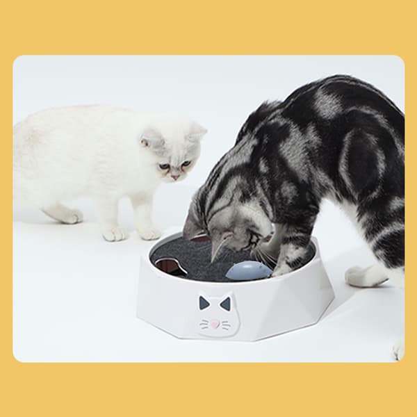 Interactive Cat Turntable Electric 2-Speed Adjustable Automatic Puzzle Catch Mouse Play Cat Toy for Pet Supplies