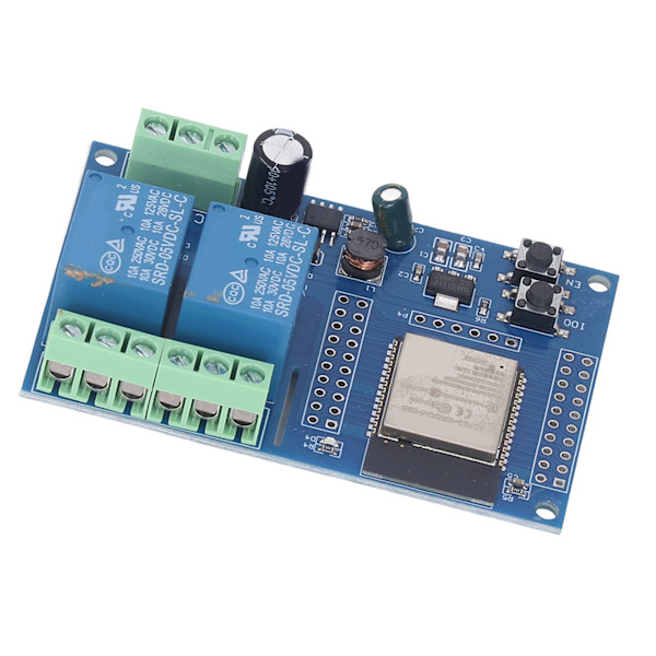Relæmodul 4 M Byte Flash Programmerbare Taster Dobbelt Relæmodul til Sekundær Udvikling Læring DC5-60V