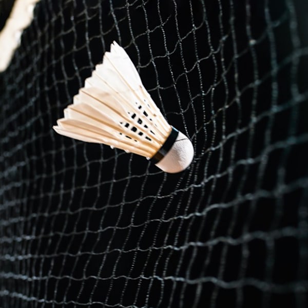 12 st Badmintonbollar med Hög Hastighet Ankafjäder Shuttlecocks Utomhus Inomhus Träningstävling