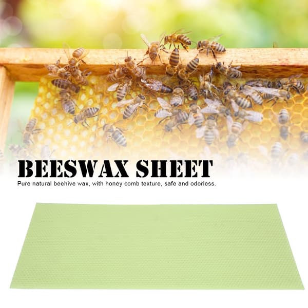 10 pcs Green Plastic Beekeeping Honeycomb Sheet Beeswax Beehive Foundation Beekeeping Accessories