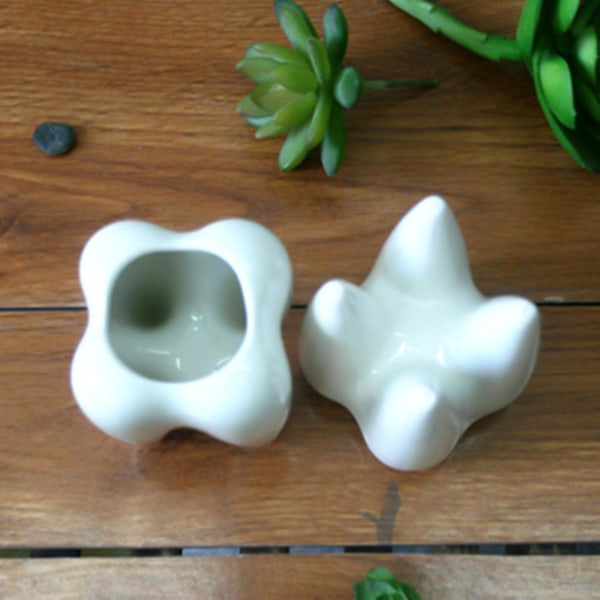 Tannform Sukkulent blomsterpotte Glasert liten plantekrukke Keramikk laget hvit
