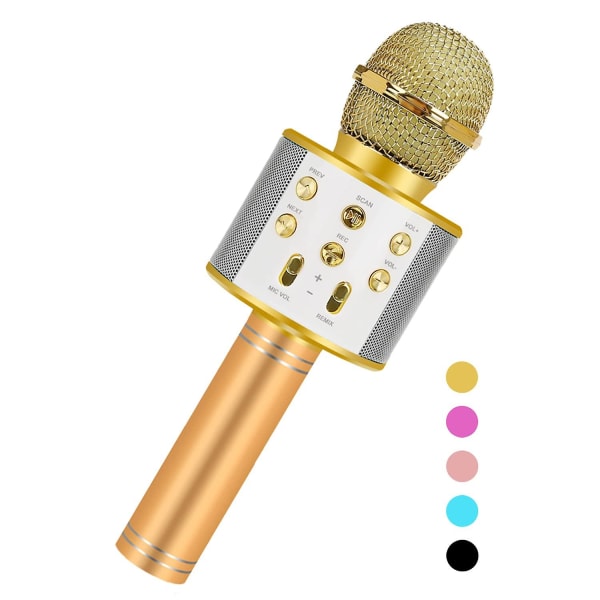 Kädessä pidettävä karaoke-mikrofoni lapsille Golden