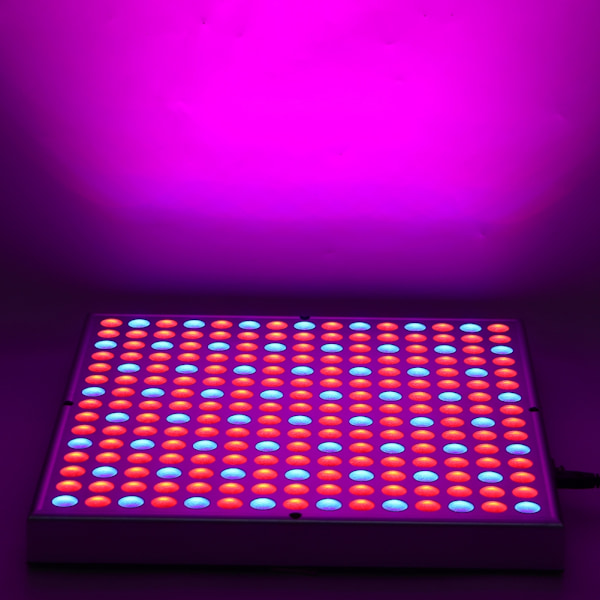 240W kvadratisk LED-vekstlys Fullspektrum plantevekstlys for innendørs drivhusplanter 85-265VEU-kontakt