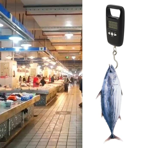 Black Mini Portable Digital Electronic Hanging Scale Luggage Scale with High Precision