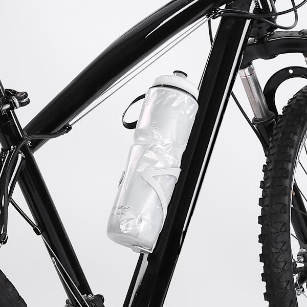 710ML utomhusdubbellager termisk PE-sportflaska varmt kallt vatten (silver)