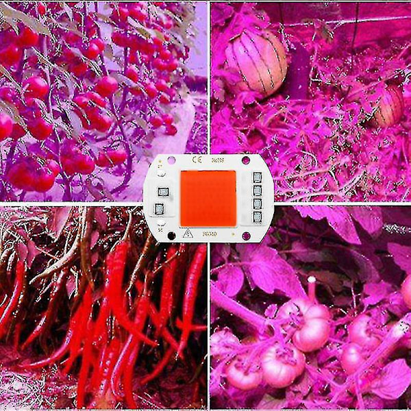 Full Spectrum COB LED Grow Light för inomhusväxter - Ingen drivrutin behövs