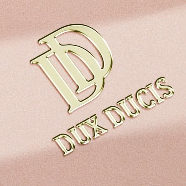 Etui til Samsung Galaxy S24 Ultra - DUX DUCIS - Rosa - Flipkortholder Video Support Rosa