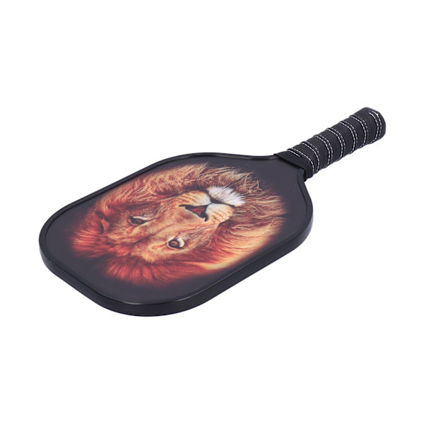 LEIJIAER Pickleball Paddle Set Carbon Fiber Face Racket med 2st boll och förvaringsväska PK-061