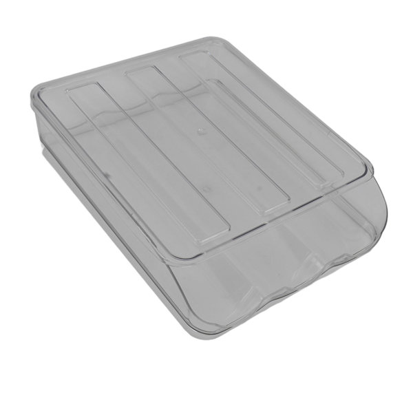 Egg Holder for Refrigerator Tilt Design Transparent Large Capacity Detachable Egg Storage Container Egg Dispenser 1 Layer