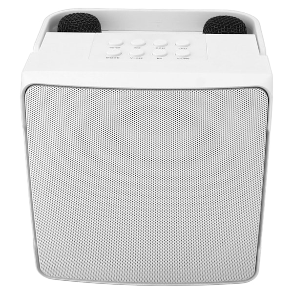 Karaokemaskin med to mikrofoner 10W Bærbar Bluetooth-høyttaler for barn Bursdag Hjemfest Hvit