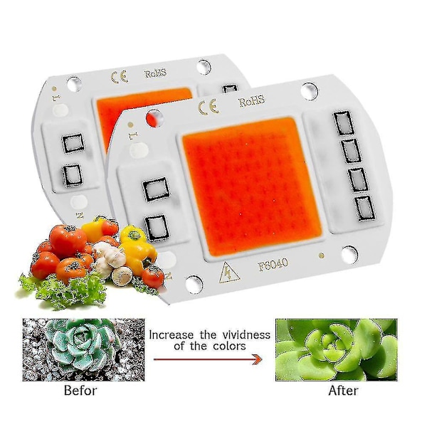 Full Spectrum COB LED Grow Light för inomhusväxter - Ingen drivrutin behövs