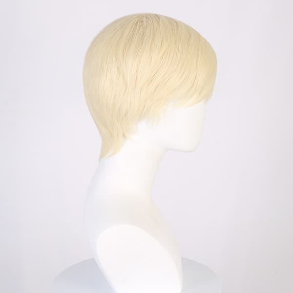 Rollespil Kardemomme Barbie Ken Paryk[LD]