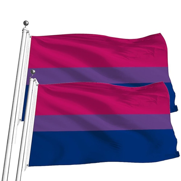 2 kpl lippuja - eloisia värejä ja haalistumattomia - Kanvas-otsikko ja kaksoisommeltu - polyesteri messinkiläpiviennin lipuilla