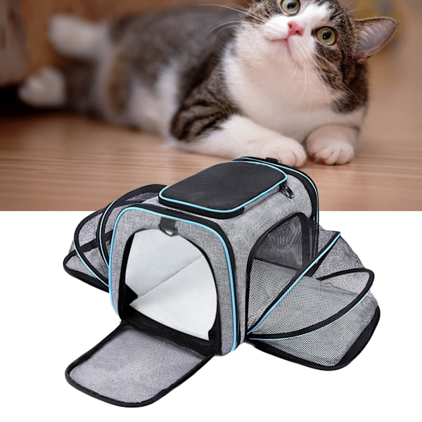 Resebärare för husdjur Vikbar Expanderbar Andningsbar Mesh Cat Carrier för utomhusresor Grå, blå kant